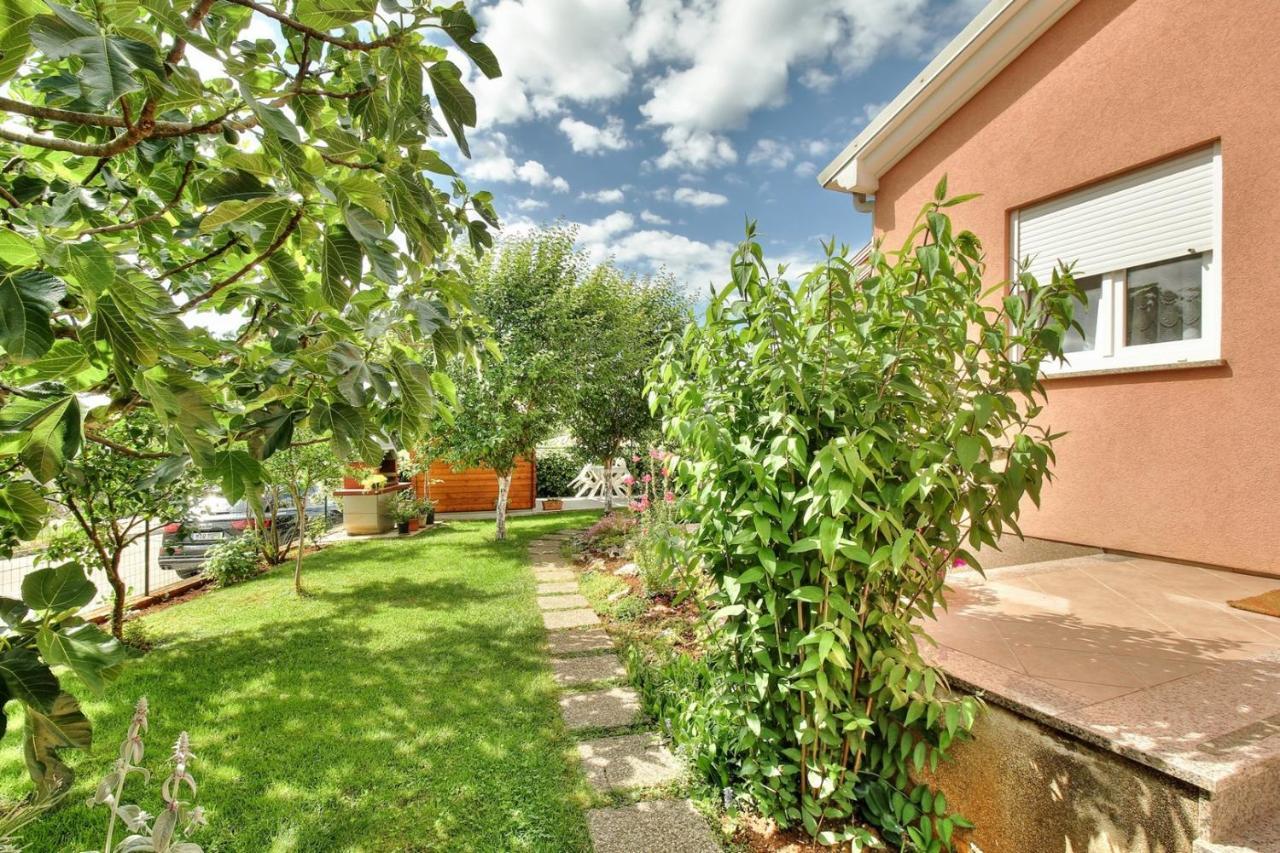 Begovic Apartman *