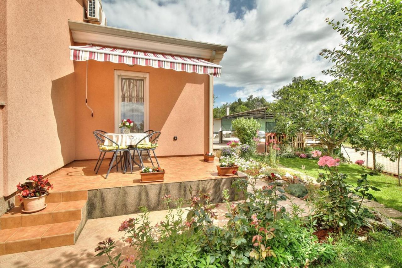 Begovic Apartman *